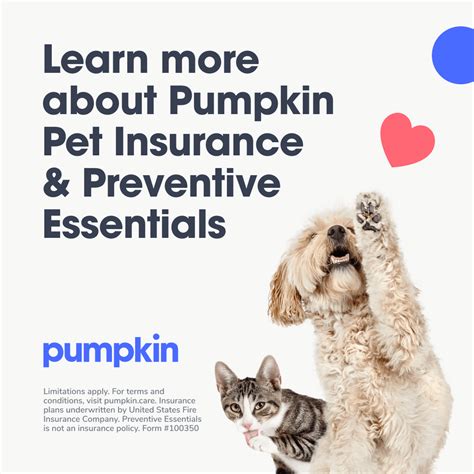 pumpkin pet insurance phone number.